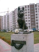 Памятник собаке